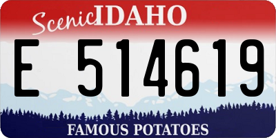ID license plate E514619