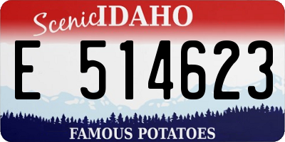 ID license plate E514623
