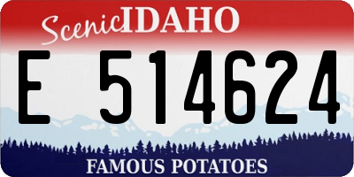ID license plate E514624