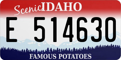 ID license plate E514630