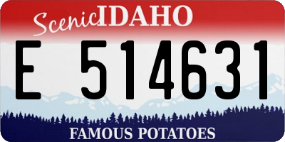 ID license plate E514631