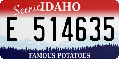 ID license plate E514635