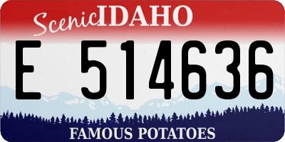 ID license plate E514636