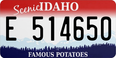 ID license plate E514650