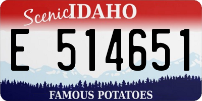 ID license plate E514651