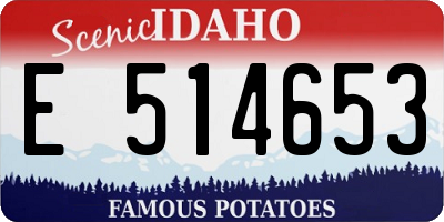 ID license plate E514653