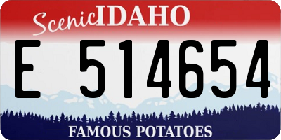 ID license plate E514654