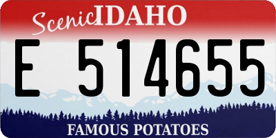 ID license plate E514655
