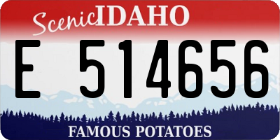 ID license plate E514656