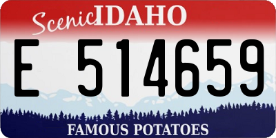 ID license plate E514659