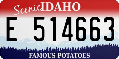 ID license plate E514663