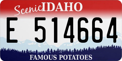 ID license plate E514664