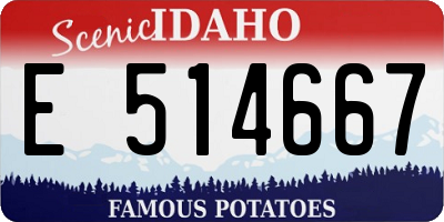 ID license plate E514667