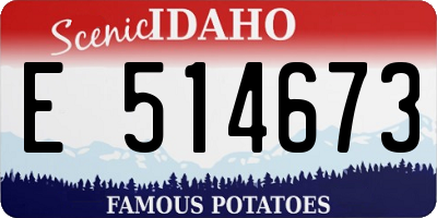 ID license plate E514673
