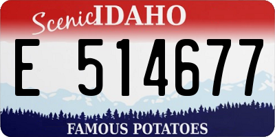 ID license plate E514677