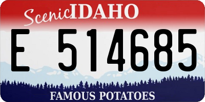 ID license plate E514685