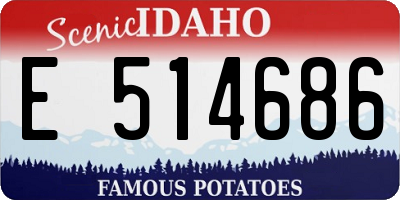 ID license plate E514686