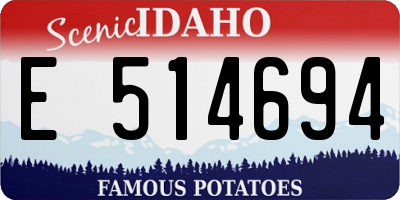 ID license plate E514694