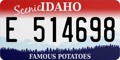 ID license plate E514698
