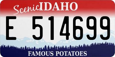 ID license plate E514699