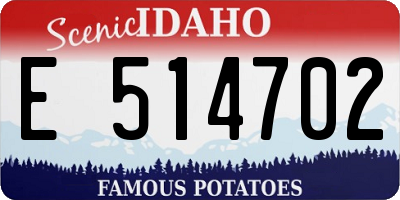 ID license plate E514702