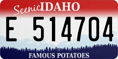 ID license plate E514704