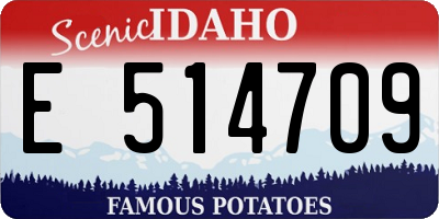 ID license plate E514709