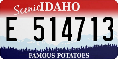 ID license plate E514713