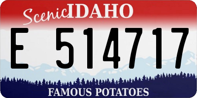 ID license plate E514717