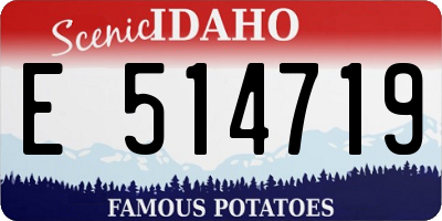 ID license plate E514719