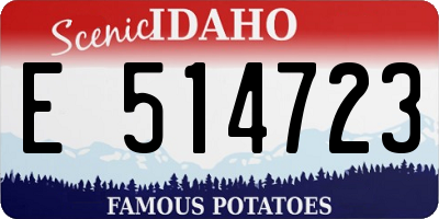 ID license plate E514723