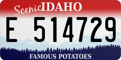 ID license plate E514729