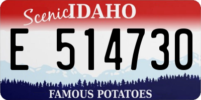 ID license plate E514730
