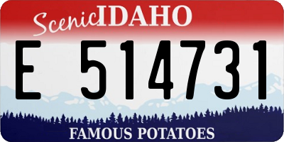 ID license plate E514731