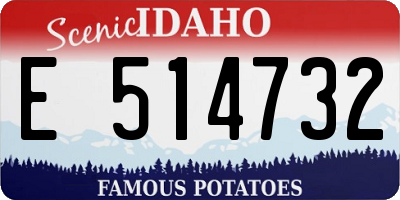 ID license plate E514732