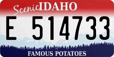 ID license plate E514733