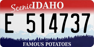 ID license plate E514737
