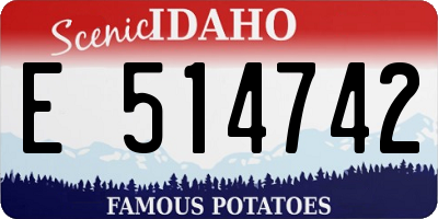ID license plate E514742