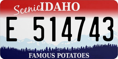 ID license plate E514743
