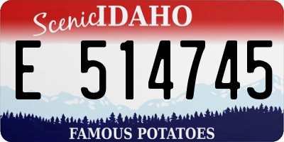 ID license plate E514745
