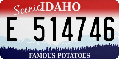 ID license plate E514746