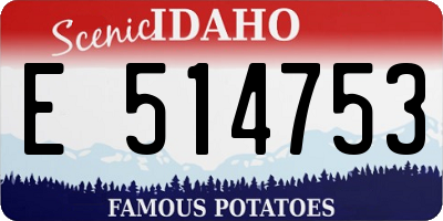 ID license plate E514753