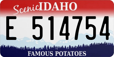 ID license plate E514754