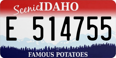 ID license plate E514755
