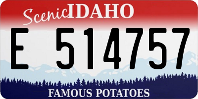 ID license plate E514757