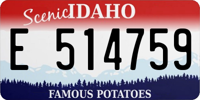 ID license plate E514759