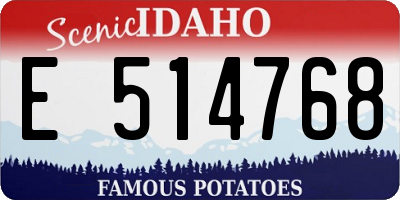 ID license plate E514768