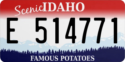 ID license plate E514771