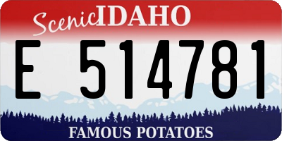 ID license plate E514781