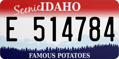 ID license plate E514784
